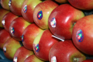 Borgloon fruitveiling appels Jonagold