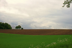landschap bij Gulpen_1