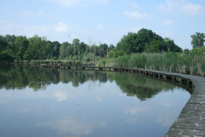 Knuppelpaadjes in het Vinne