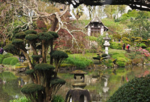 Japanse tuin