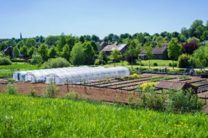 De moestuin van sterrenrestaurant Hofke van Bazel