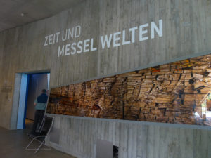 Bezoekerscentrum Messelgrube