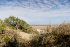 Zeebrugge