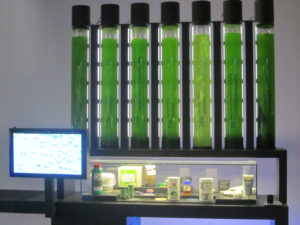 Micropia