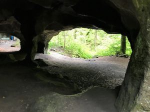 IMG_6244