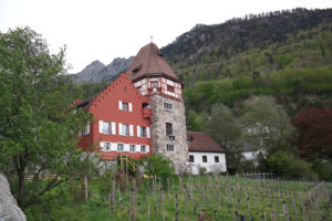 Wijngaarden in de directe nabijheid van Vaduz