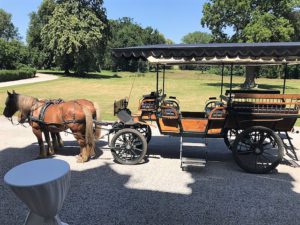 Paard en koets