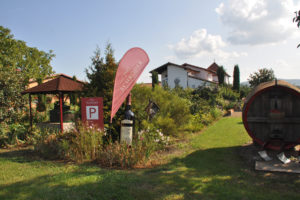 Weingut Schroder