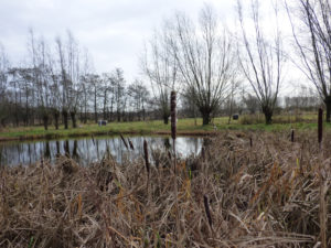 Landschap in de Kalkense Meersen